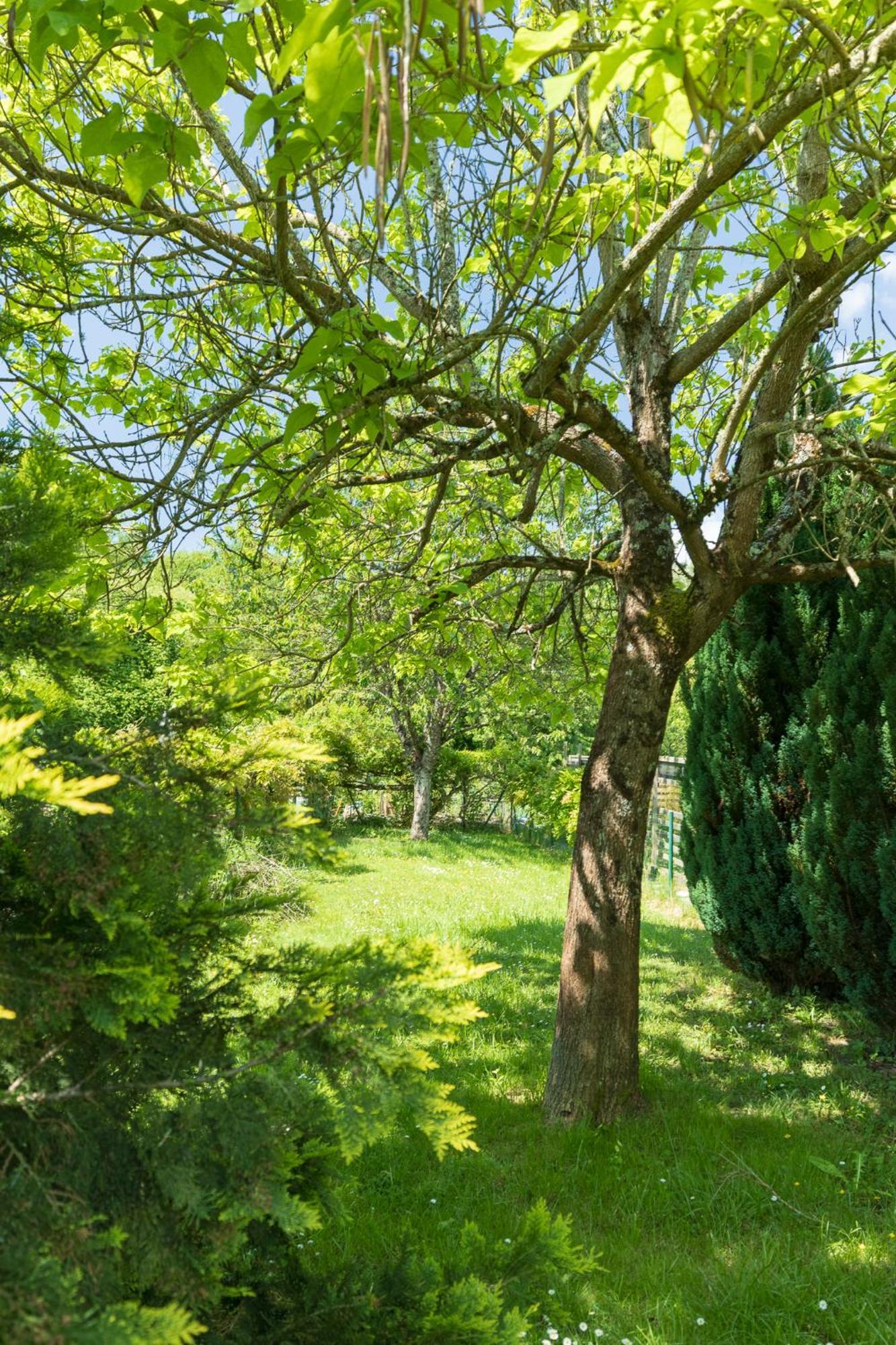 Holiday home Maison Proche Zoo De Beauval Et Des Chateaux.